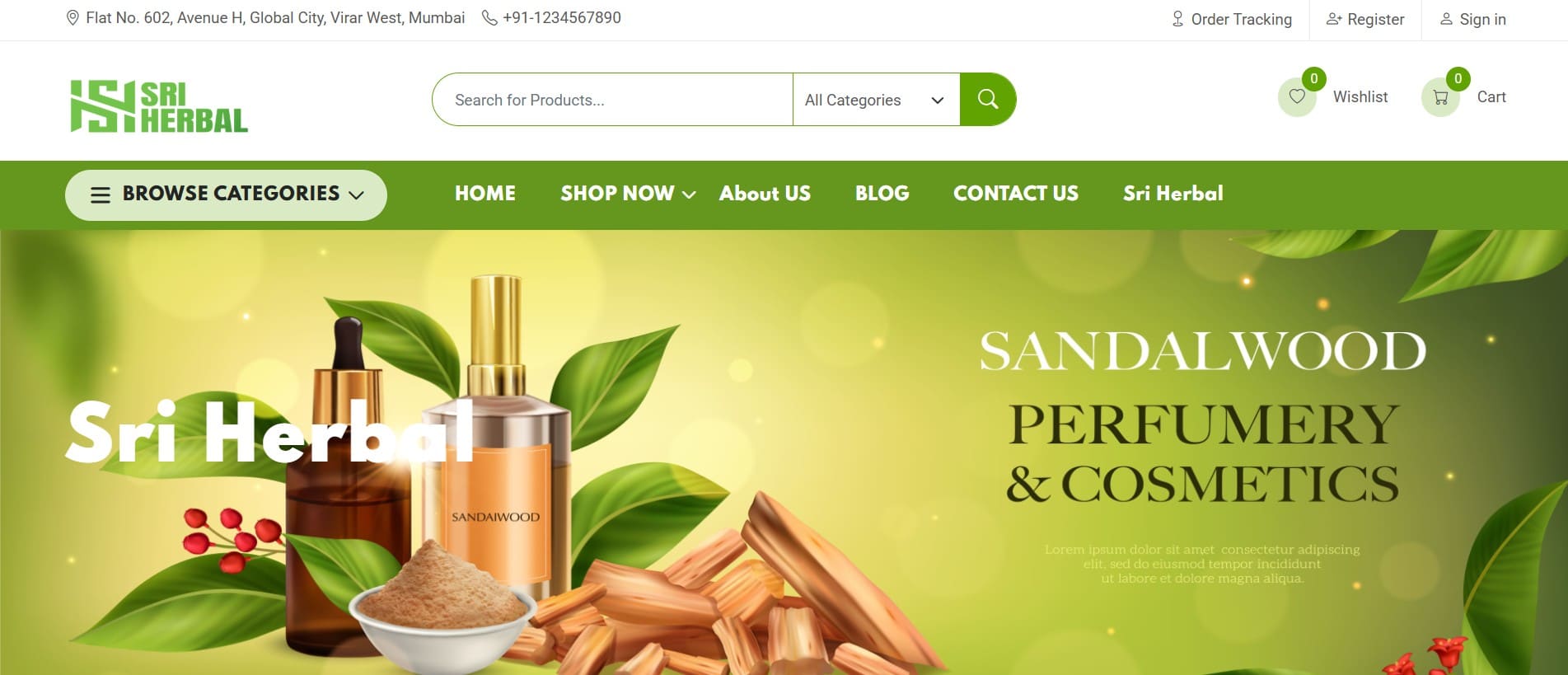 Website Design Case Study